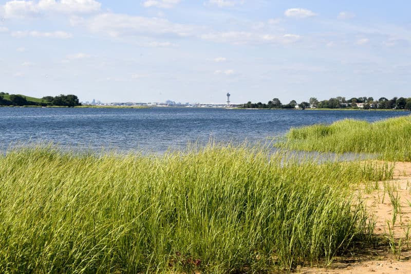 Bayswater Park tennis courts